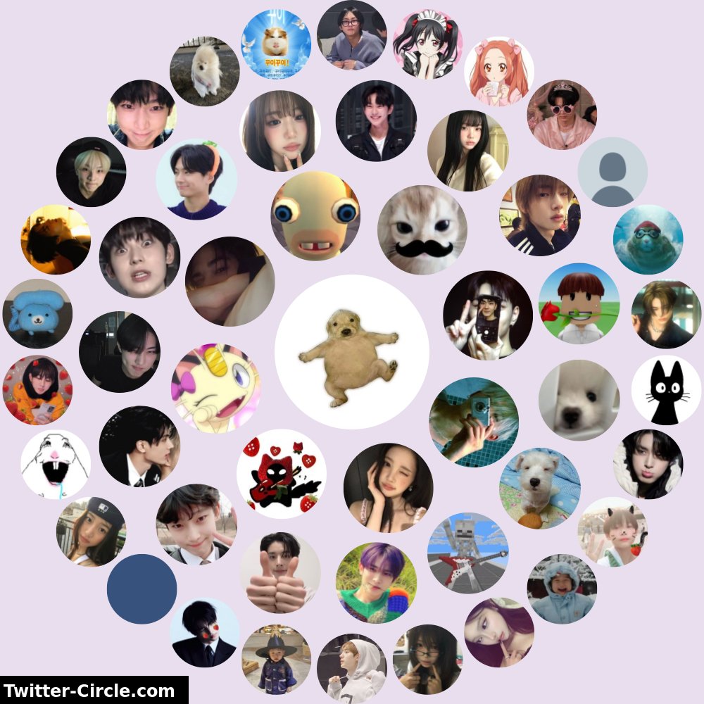 니콩이 (ㅅㅌ:스핀와) tweet media