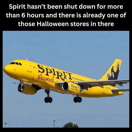 _duckyarcade_'s tweet photo. Meme of the Day!

#meme #fun #funny #laugh #joke #fun https://t.co/G0JxyzMpRq