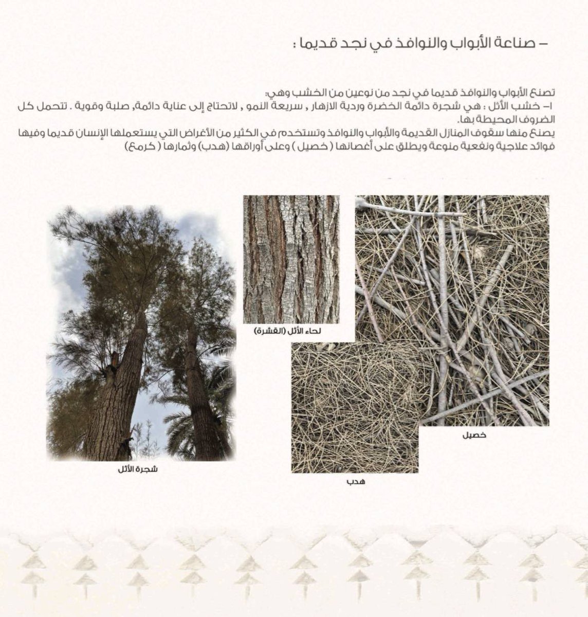 D_alhassn's tweet photo. حرفة الأبواب النجدية وأدوات صناعتها المحلية من كتاب أ. محمد السويح.

كانت الأبواب النجدية تصنع من خشب شجرة الأثل التي تزرع في نجد، صلبة وقوية ولا تحتاج لعناية فائقة.

الزخارف أشكالها متعددة منها هندسي ومنها نباتي، ويدخل فيها نقشة البيذانه، 
النقوش ماكانت عشوائية، كانت على حسابات هندسية دقيقة. 

الألوان كانت تستخرج محلين من الطرسوس وقشر الرمان وبعض الأحجار وغيرها ثم تخلط بالصمغ العربي قبل تلوين الباب.
الأثرياء كانوا يضيفون ألوان أكثر عن طريق استيرادها من الهند أو الشام.

في نجد ماكان مجرد باب، كان يعبر عن ذائقة اصحاب الدار، وكل مازادت الألوان والرسوم كل ماعبر عن الحالة المادية لأصحاب الدار.

عوائل كثير خرج منهم حرفيين للأبواب النجدية، منهم أ. السويح، والرزيزاء، والفوزان والمحميد والنقيدان والطويطين وغيرهم من غير الموثقين، رحم الله من توفى منهم واطال عمر من بقى.