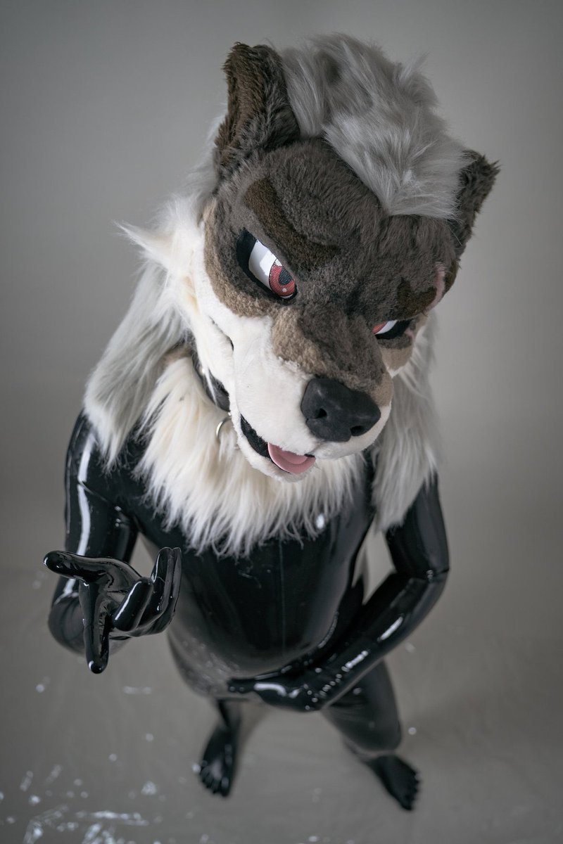 Rouanfursuit's tweet photo. 待ってましたよ！この日に！

#ゴムの日 #Latex https://t.co/Km56recgSq