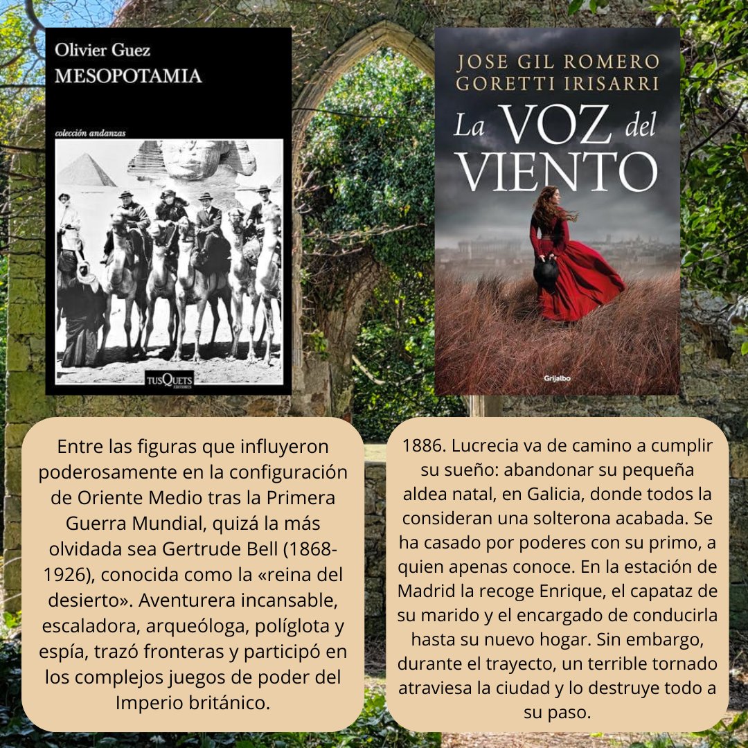 BibliotecaContrueces tweet media