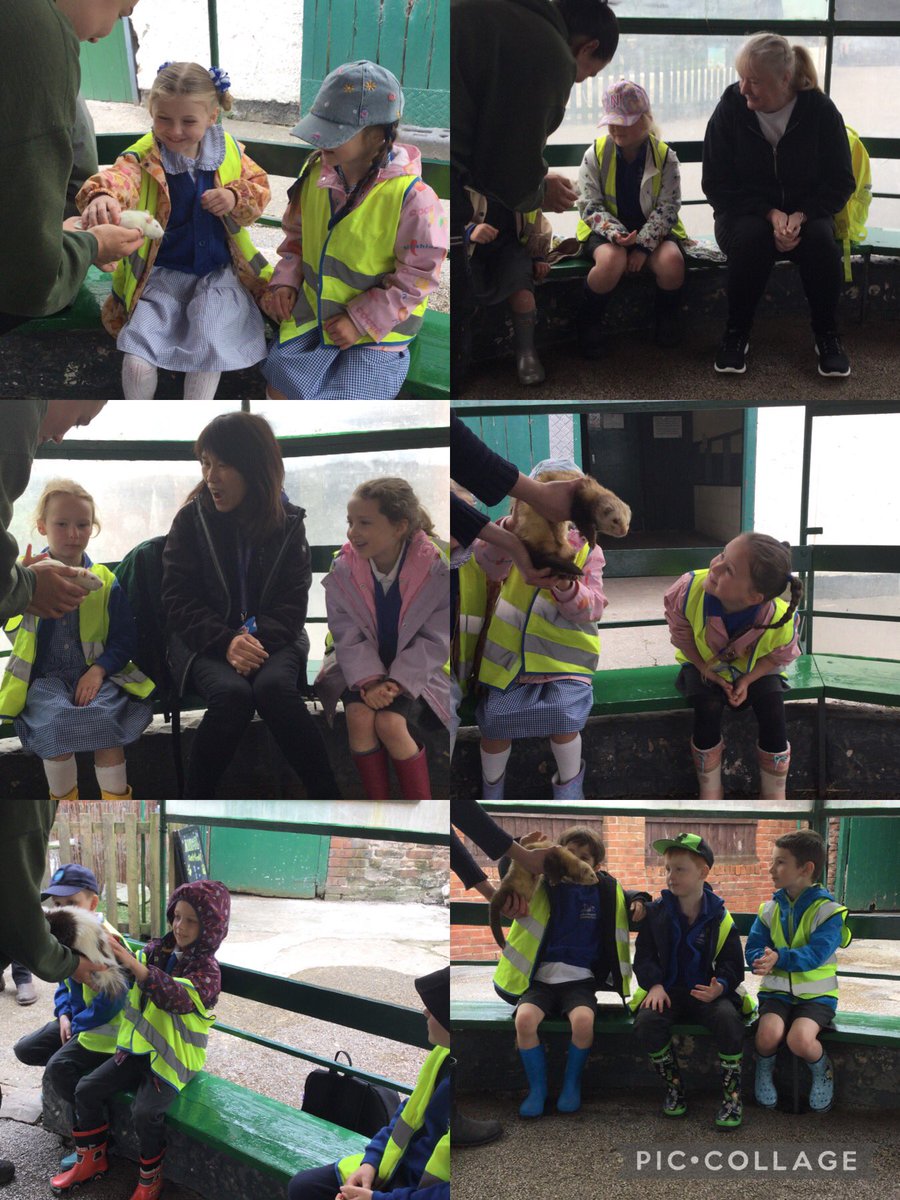 WhitegateRowan1's tweet photo. To start the day we headed to the animal meet and greet pen to learn all about some special animals. We were very gentle and met Jam the rat! We even got to see the brand new hamster litter. @SchoolWhitegate https://t.co/JeLiSi0YiL