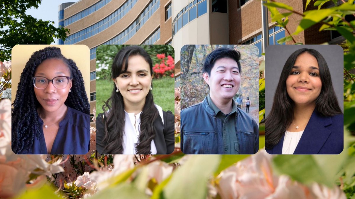 Cornell Research & Innovation tweet media
