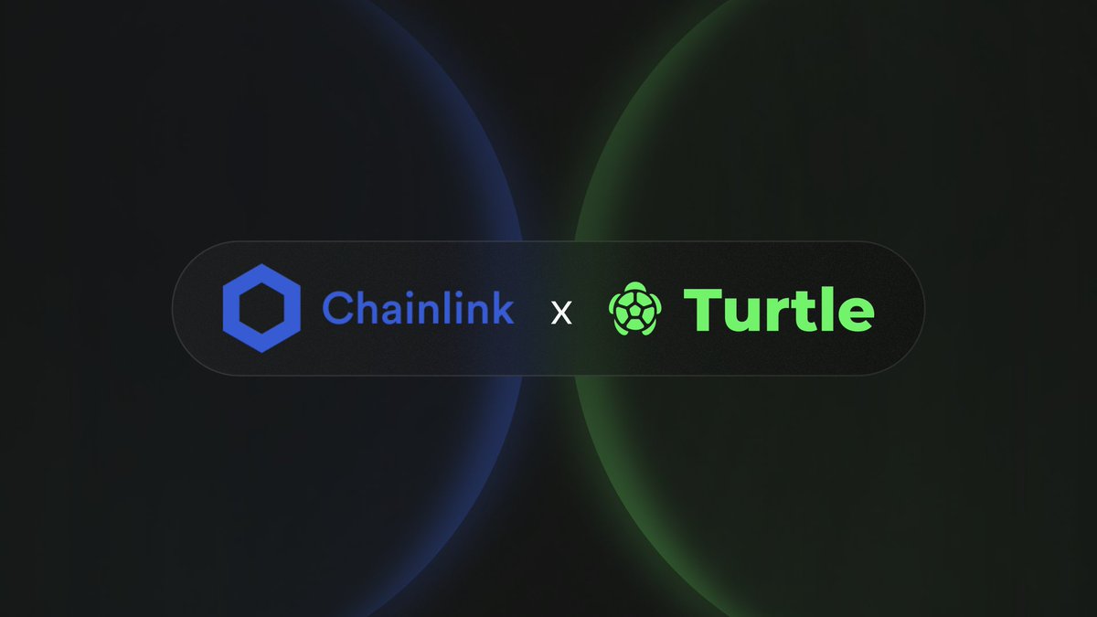 Turtle tweet media