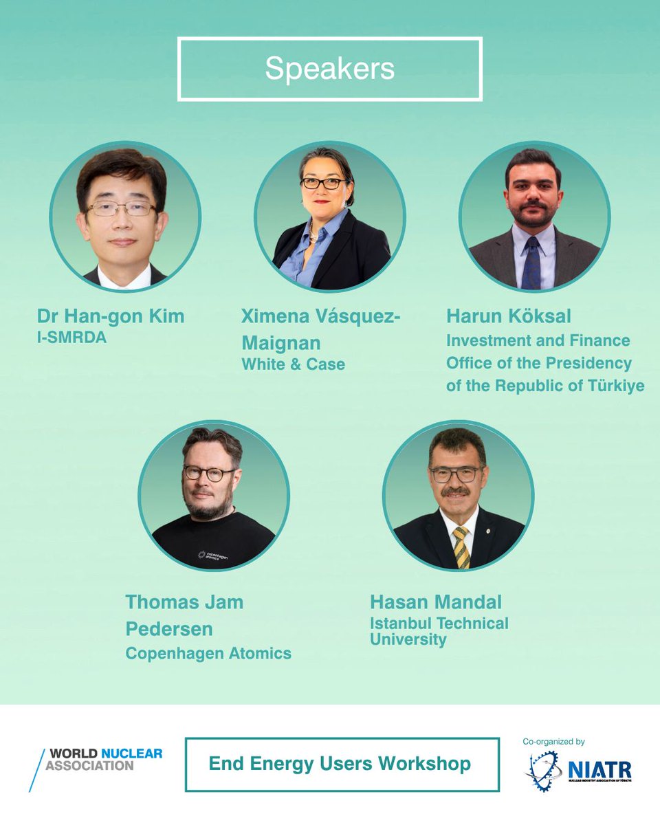 World Nuclear Association tweet media