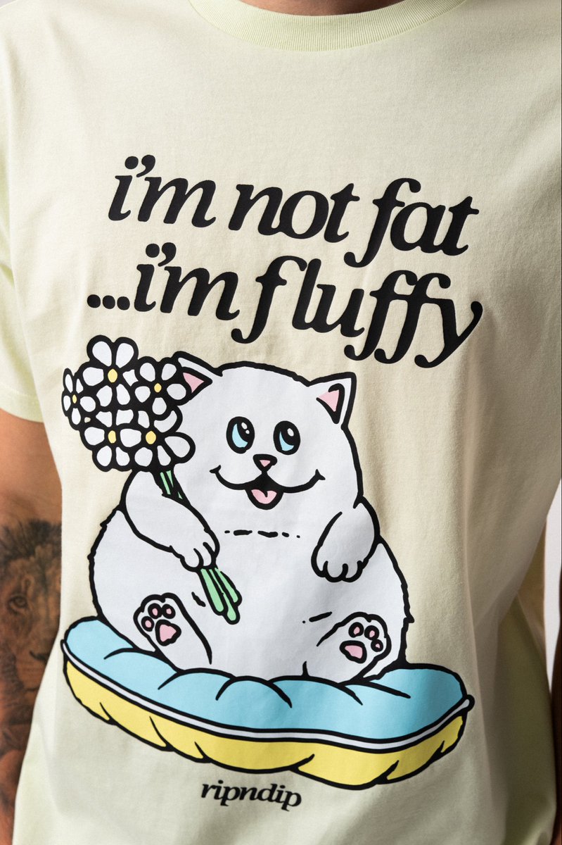 RIPNDIP tweet media