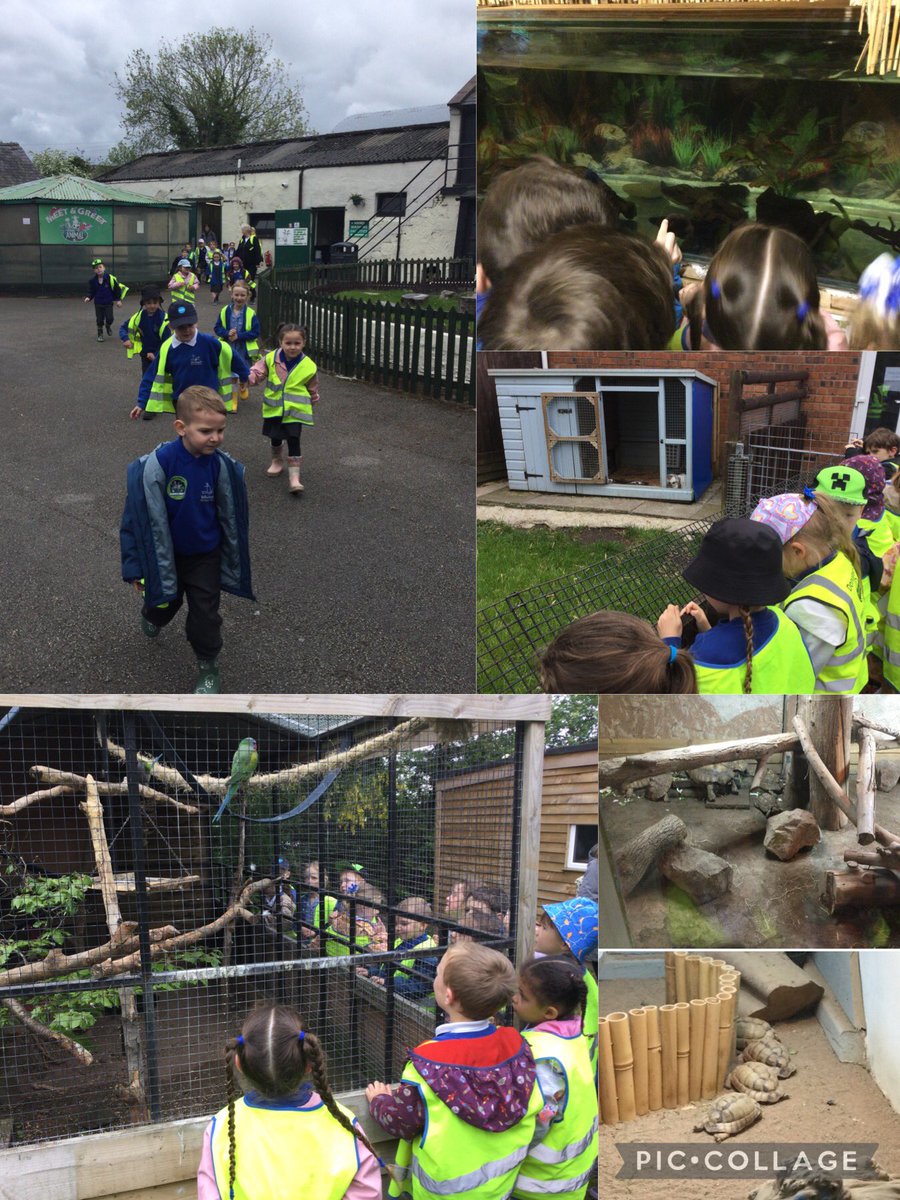 WhitegateRowan1's tweet photo. After a quick visit of some reptiles, birds and fish it was time for lunch! 🐟🐢🦜🥪@SchoolWhitegate https://t.co/Y4XP9c73hU