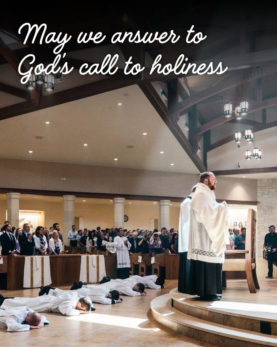 Diocese of Austin tweet media