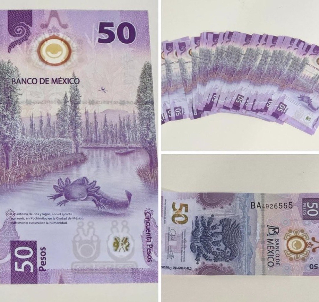 Nada fomenta más el hábito del ahorro que tener un billete de ajolote.