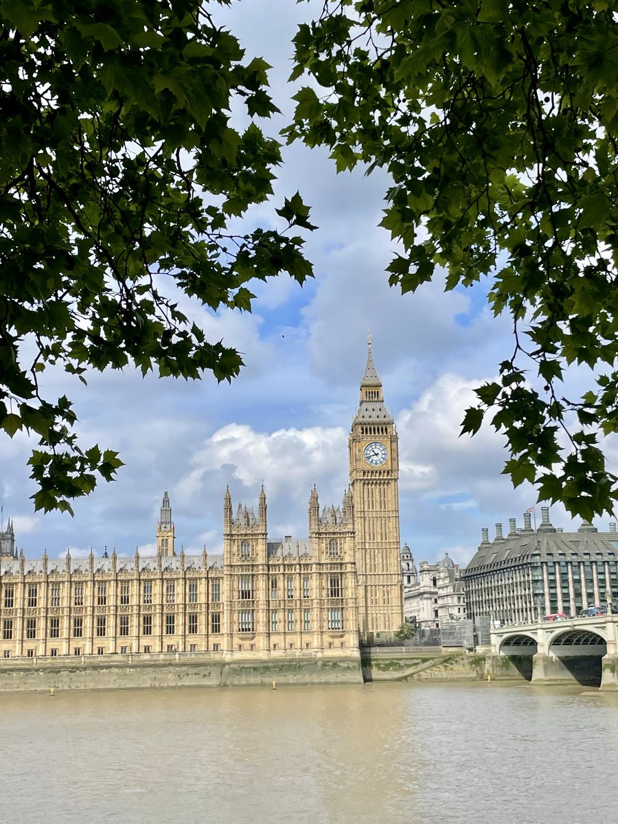 JV7025's tweet image. Early for an appointment this morning, so found a quiet spot by these trees, leaning towards the Thames and Houses of Parliament; if only they could talk! #TreeClub 💚🌳