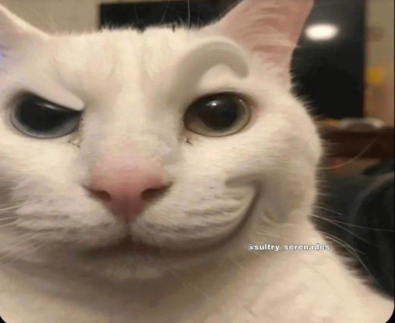 Bᴜʙʙʟᴇs⌫ tweet media