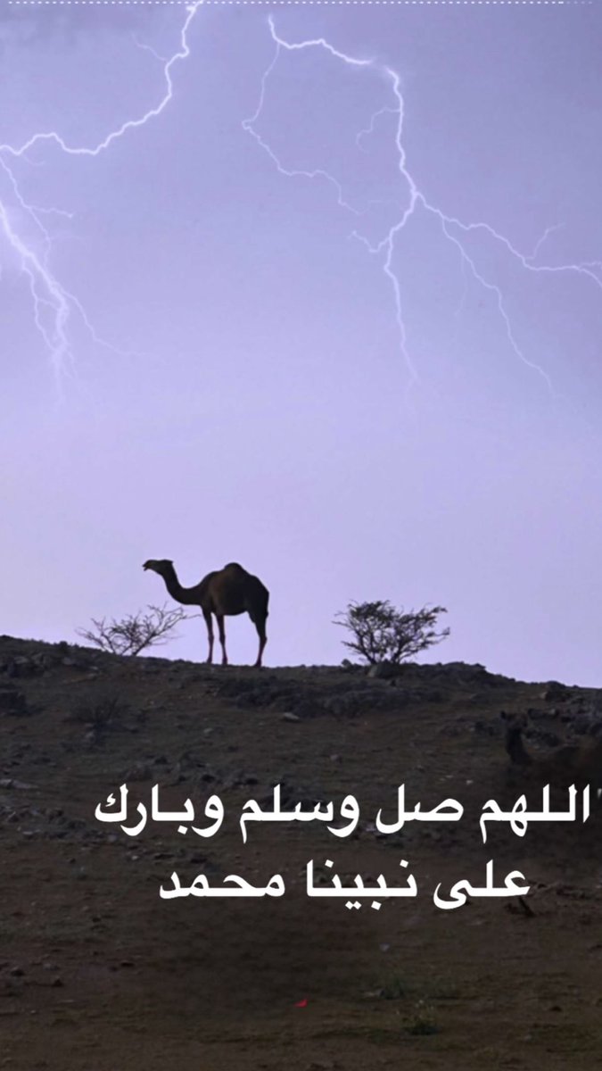 الدوسري tweet media