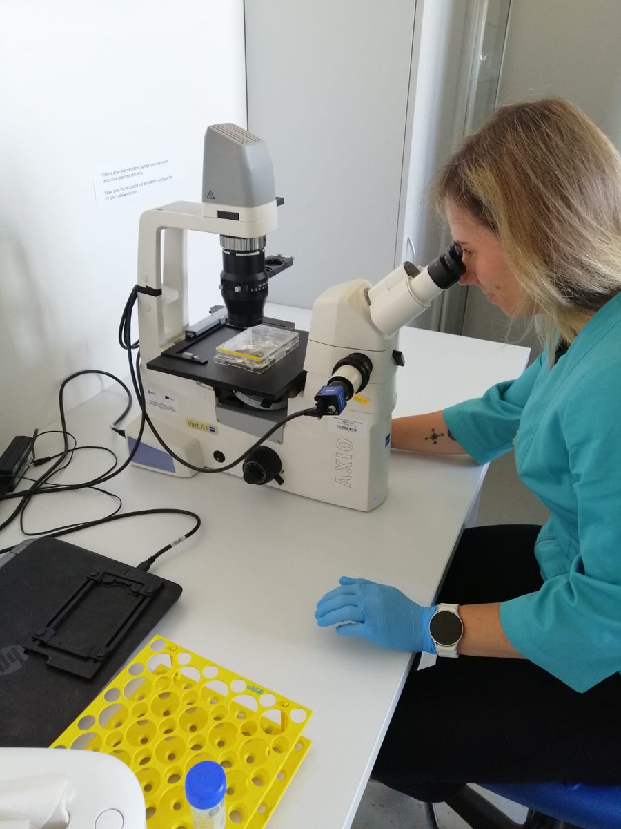 AgnieszkaWacla3's tweet photo. It’s been a while since this research stay—but worth a spotlight.
From Aug–Dec, our team hosted Šarlota Kaňuková (EIT Food RIS Fellowship), contributing to work on endometrium & molecular/epigenetic analyses.
A reminder: early-career researchers bring fresh perspectives.
#EITFood https://t.co/V2fVzm1uHY