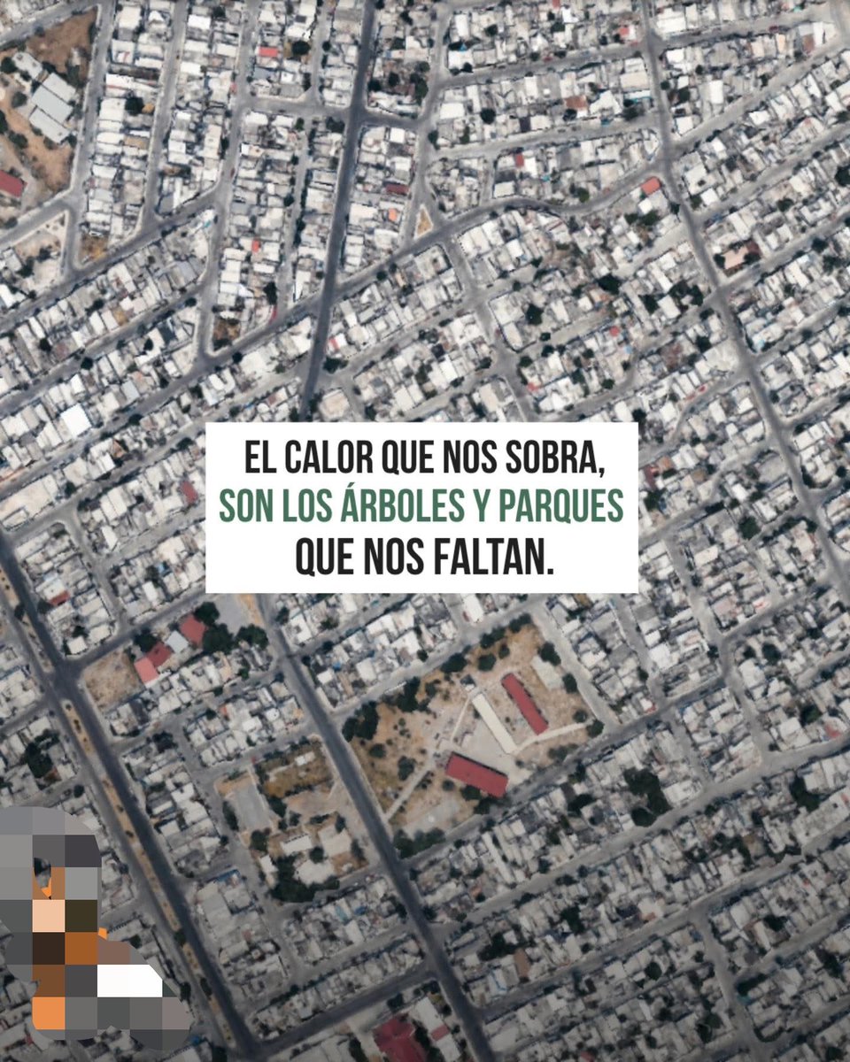 Nunca entenderé por qué odian los árboles…
