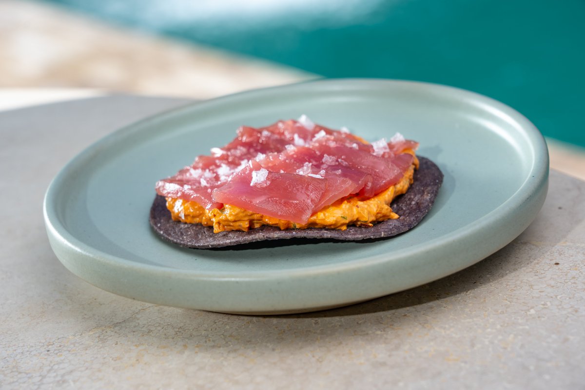 MexDestination's tweet photo. En Arriba Baja de @hotelxcaretmx, la cocina de la chef Sheyla Alvarado se disfruta entre vistas panorámicas y una cascada que fluye hacia el río. 
Una experiencia solo para adultos que vale la pena disfrutar ya sea en el desayuno, comida o cena.

#MéxicoDestinationClub https://t.co/ZRaEGqXkRc