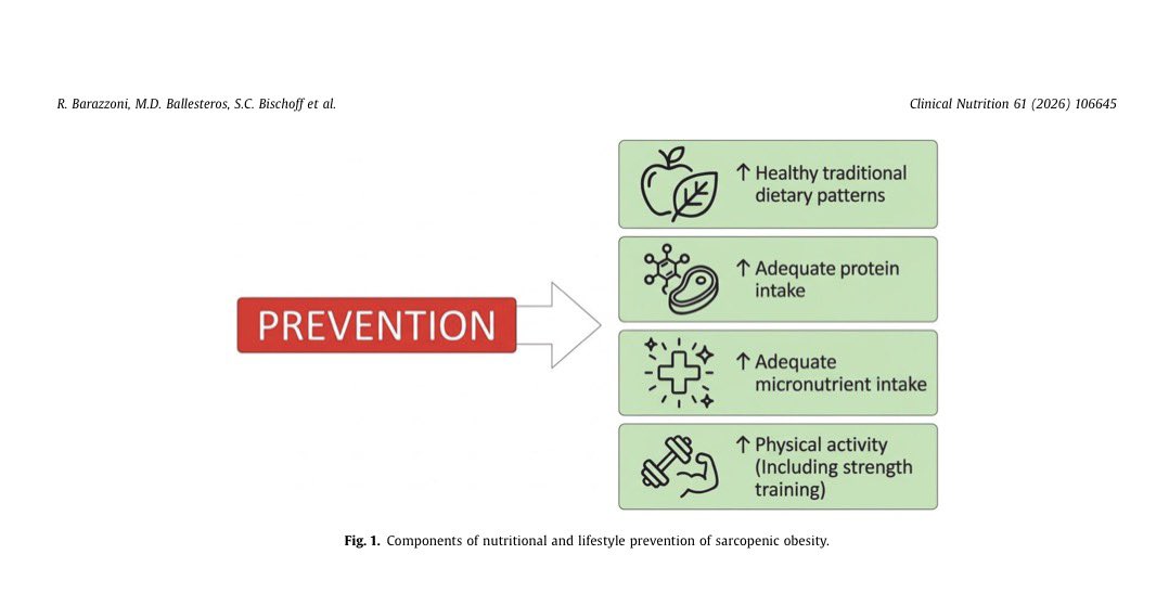 ManarSimbawa's tweet photo. Sarcopenic Obesity: Call to Action and Nutritional Agenda from the International Clinical Nutrition Community ESPEN 2026 😍

تسلّط هذه الورقة الضوء على أحد أكثر التحديات تعقيدًا في التغذية السريرية: اجتماع السمنة مع فقدان الكتلة العضلية (Sarcopenia)

👇🏻👇🏻
https://t.co/gTNrAGTZFq https://t.co/3zABxOpTbo