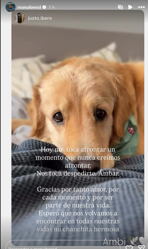 Agus Rey tweet media