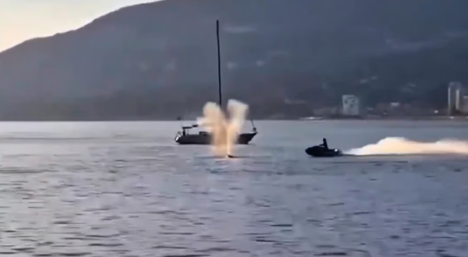 🚨 WATCH: Whale hit by jet ski off Vancouver

Link in thread 🧵