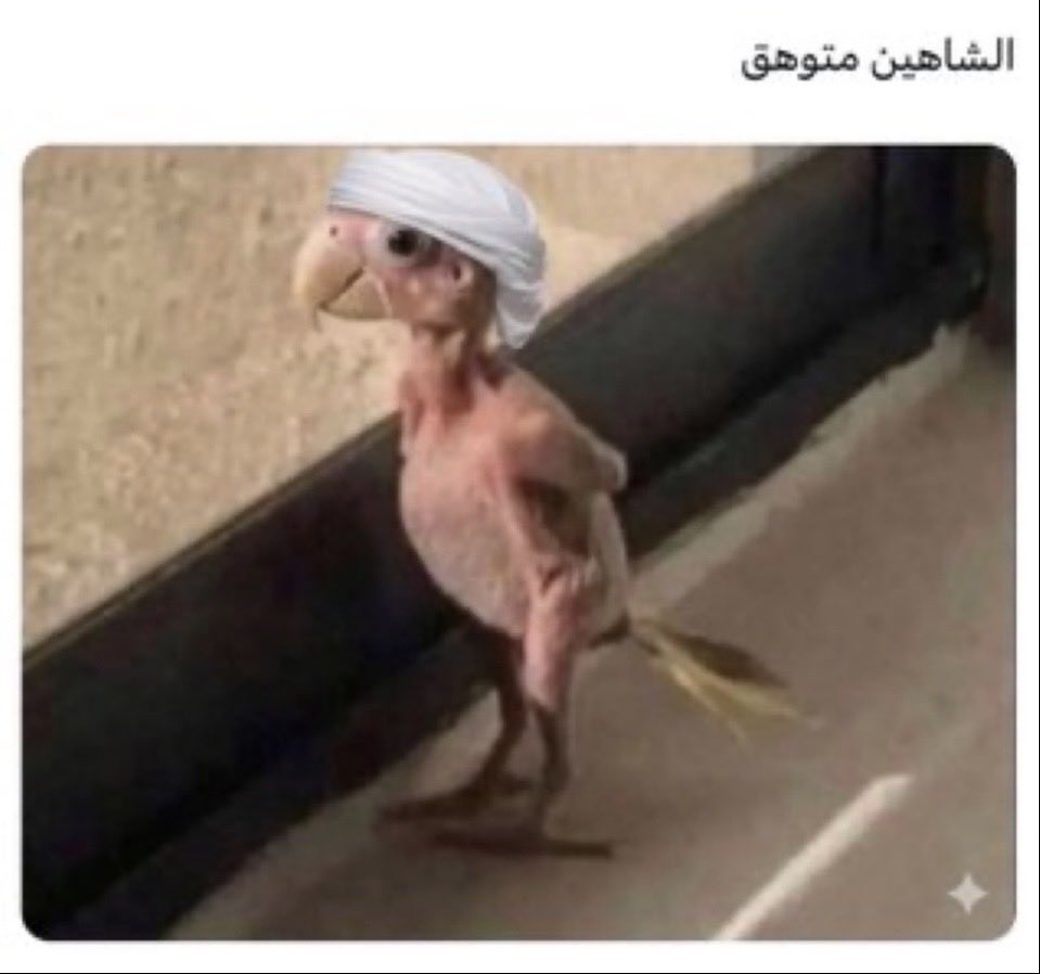 Khalid tweet media