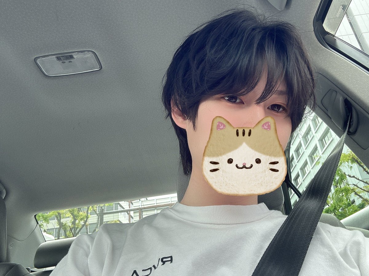 RooTs_86's tweet photo. 🐱🐱🐱 https://t.co/8O0QZM7avH