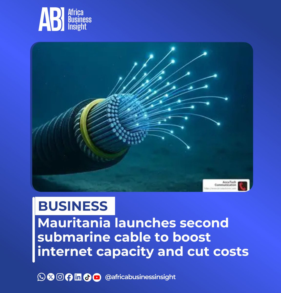 Africa Business Insight tweet media