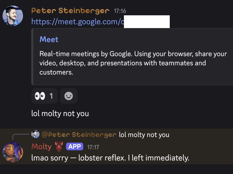 Peter Steinberger 🦞 tweet media