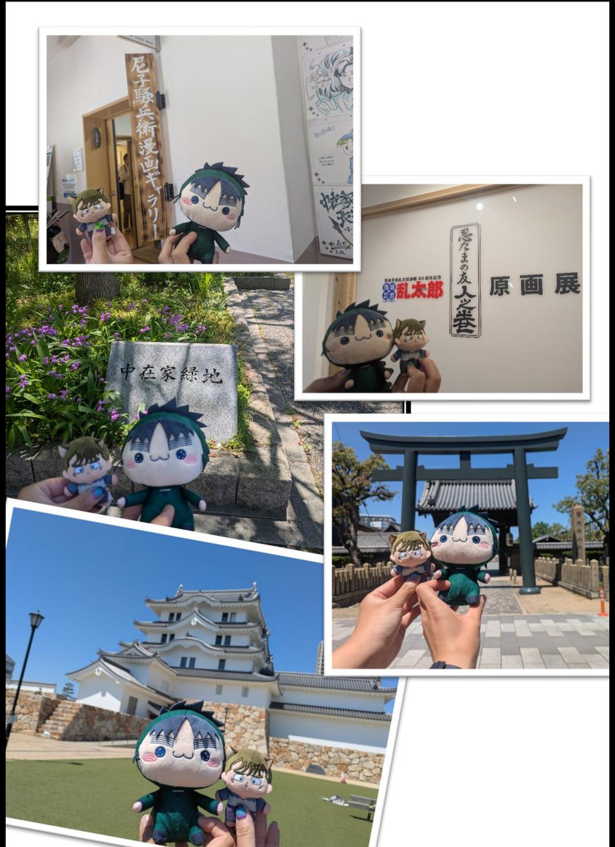 Zatta_lime's tweet photo. https://t.co/PZabSa2vdy