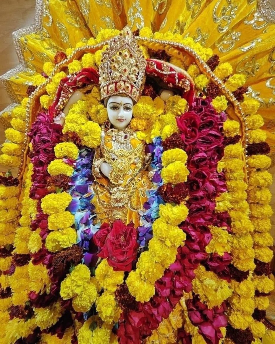 🙏 जय माई की 🙏