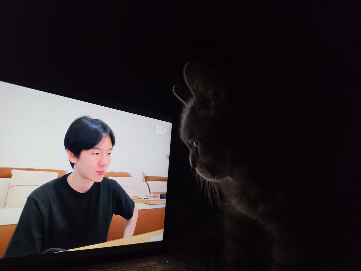 cminyoung's tweet photo. 백현이 폭풍랩 듣고 울 자몽이 자다가 깨서 이러고 있다🤣 https://t.co/mMJNGgNPjN