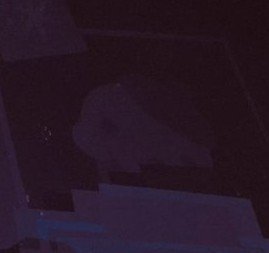 ૮꒰ ⋆˚✿˖° 𝐞𝐧-𝐣𝐞𝐚𝐧𝐩𝐚𝐫𝐤 ꒱ა en-7 tweet media