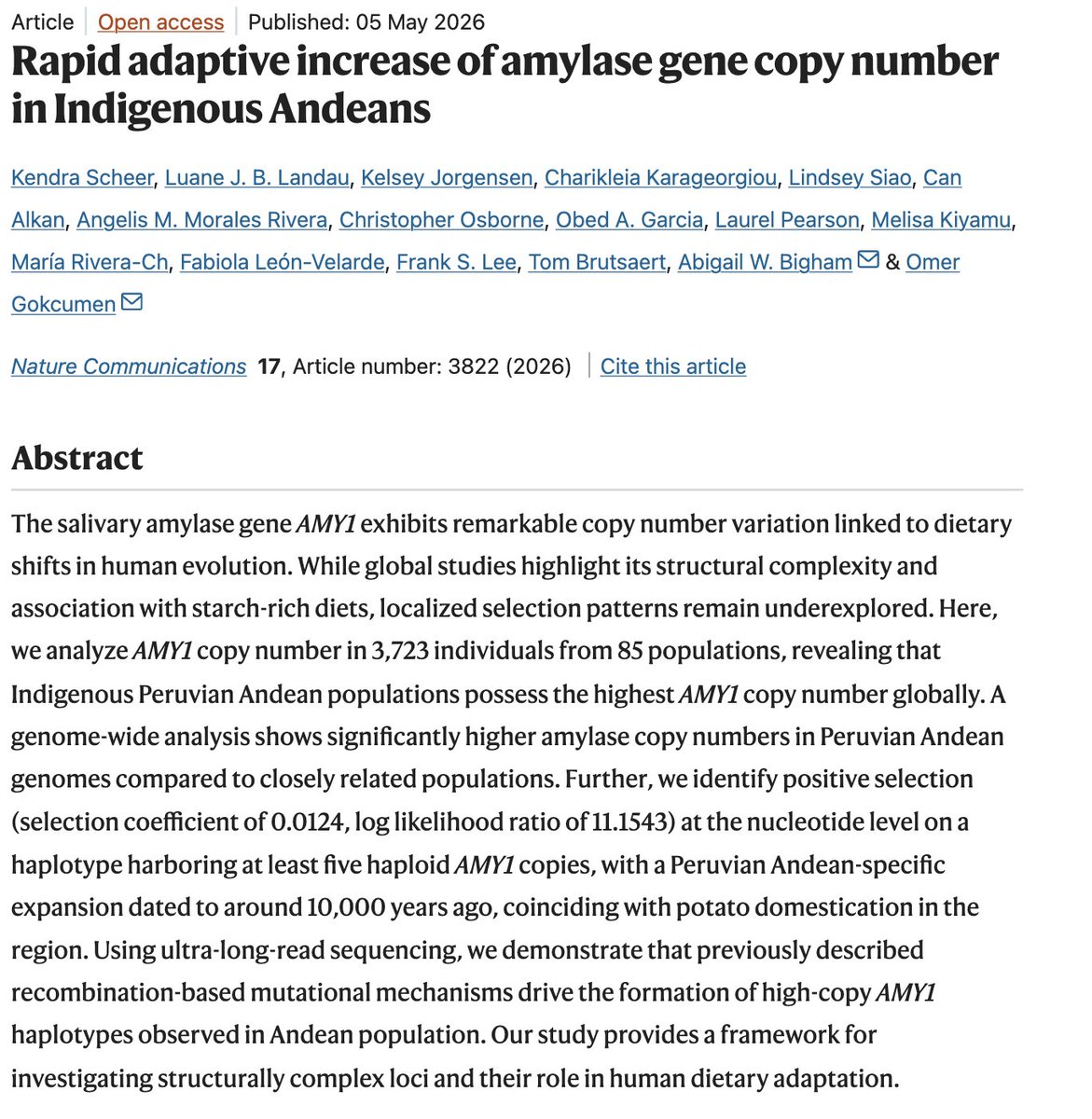 DanTabin's tweet photo. New paper out today in @NatureComms  from @gokcumen37392's group presents evidence for selection for higher number of Amylase copies in Indigenous Andeans.  It looks quite interesting and I need to read it more deeply.
Read the study here:
https://t.co/jCXCxpbLj5 https://t.co/Zkxivg9anX