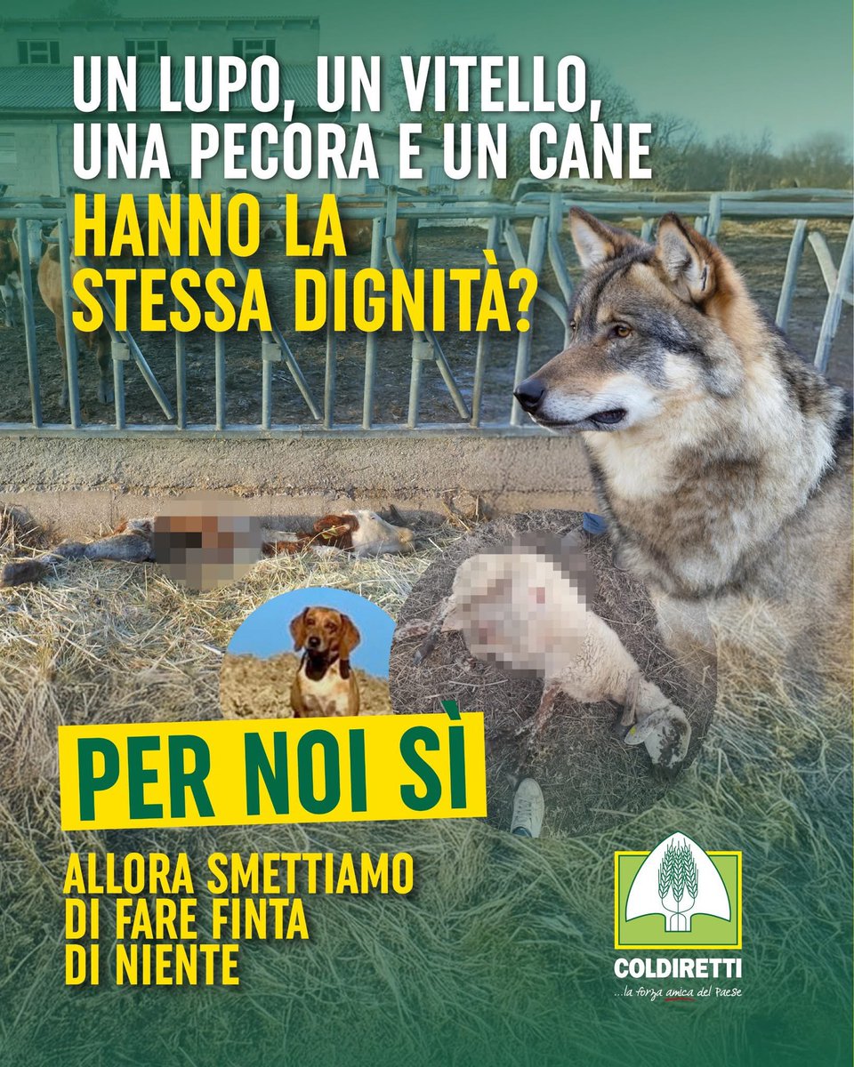 Coldiretti tweet media