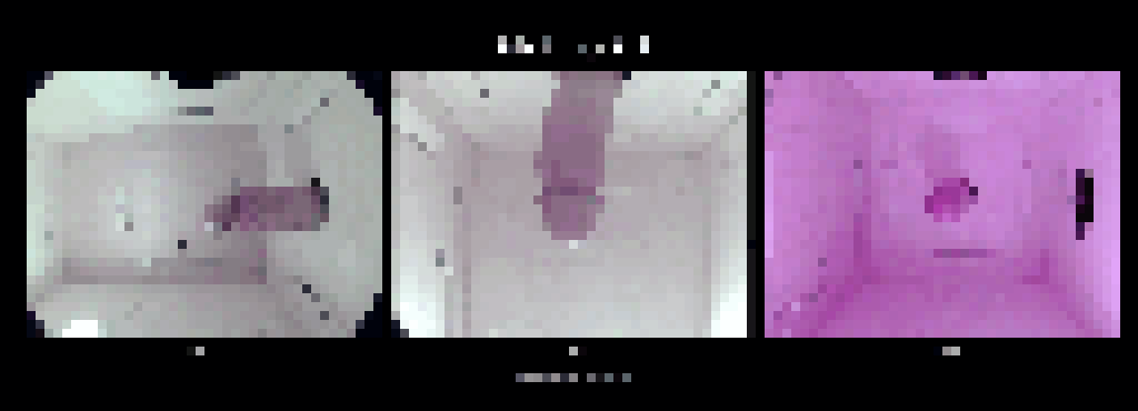 RoboGlory's tweet photo. Collecting training data for the RoboGlory project. Uncensored on the project Discord
https://t.co/RF5dm9iTJC https://t.co/tEzUtO4Qme