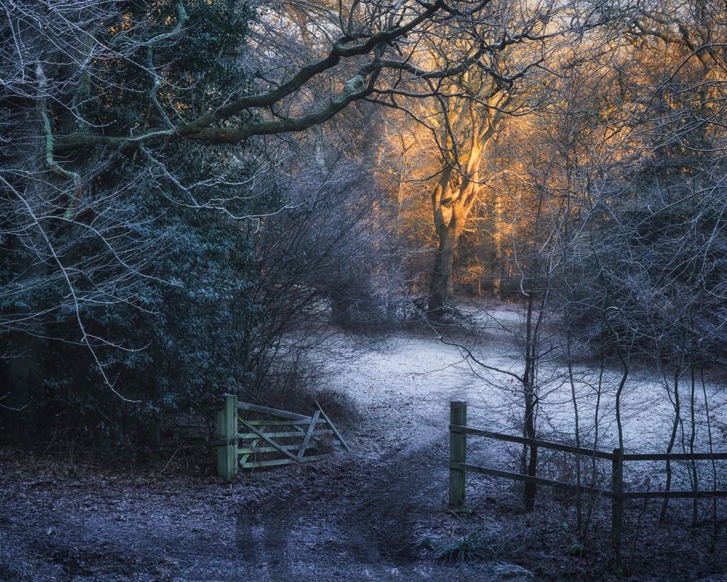TimSmalley's tweet image. The quiet revolution begins with a simple question: What if the most meaningful photographic experiences are already within walking distance?

Read more 👉 e.timsm.uk/zUx3X6

#PhotographyTips #QuietRevolution #Mindset