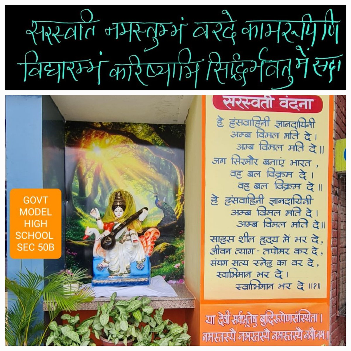 GMHS 50-B,CHANDIGARH tweet media