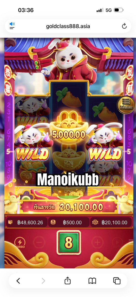 🐺 𓊆 หมาน้อยถุงเงิน 𓊇 ╺̱ 𓊓 tweet media
