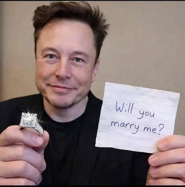 ElonScenario✨ tweet media