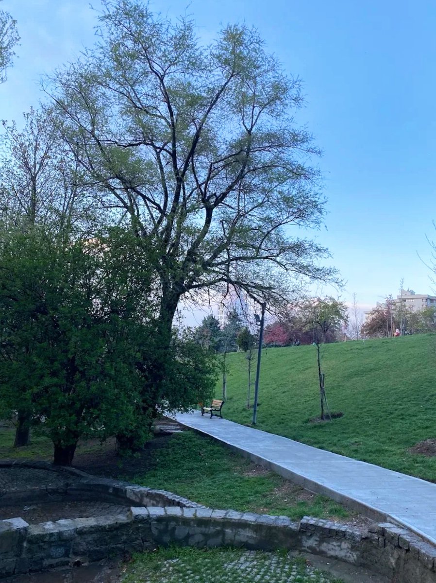 EMRE06MK's tweet image. Seğmenler Parkı'nda yarın pikniğe gelmek isteyen var mı?
#ankara 
Sohbet muhabbet edilir🥰