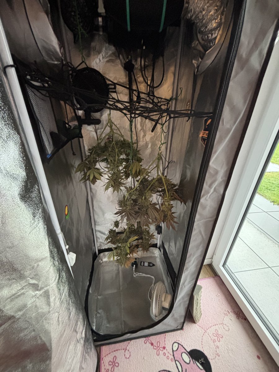 420 tweet media