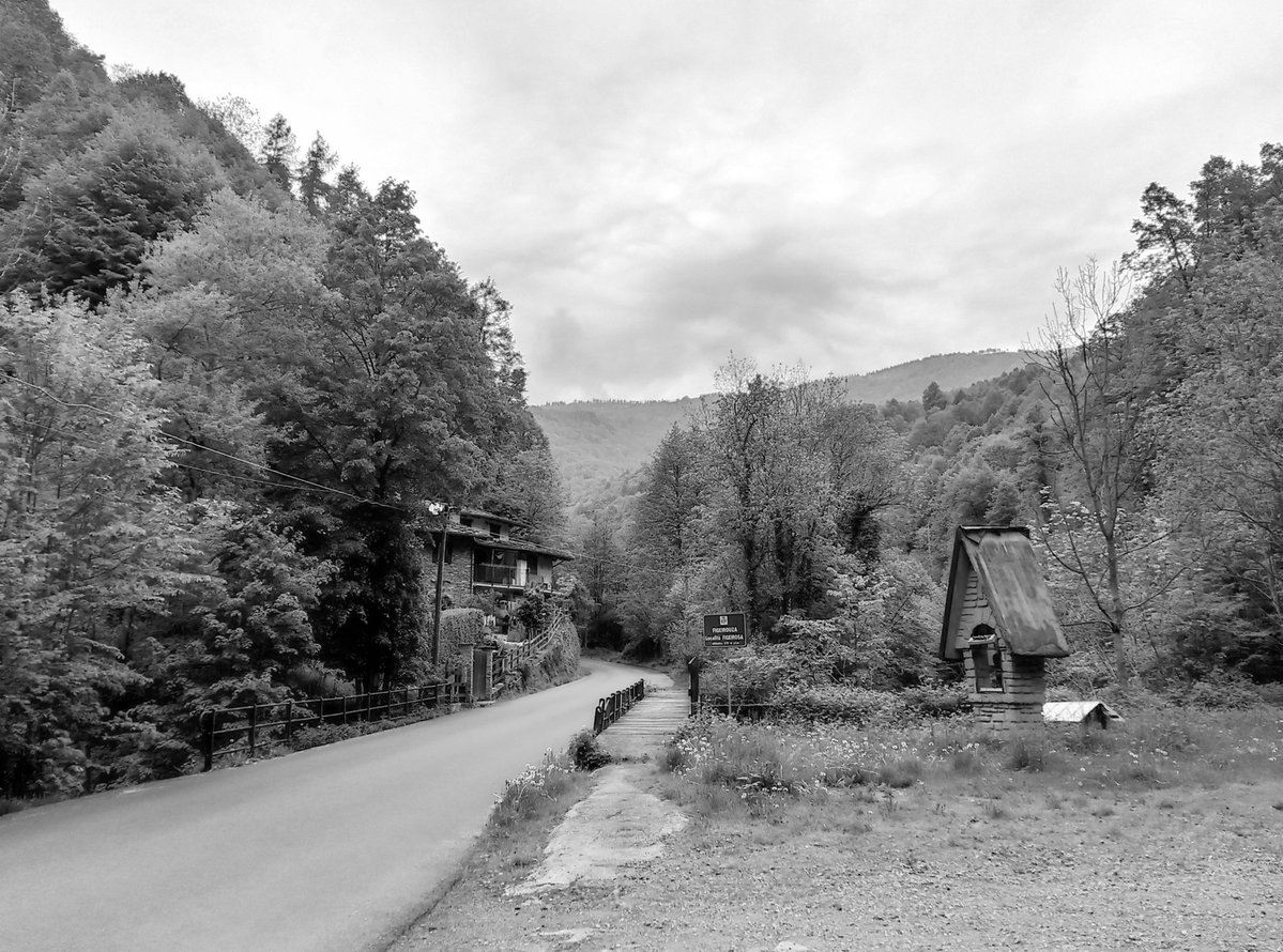 luca_bergamasco's tweet image. A nice spot. #monochrome #BW #BlackAndWhitePhotography