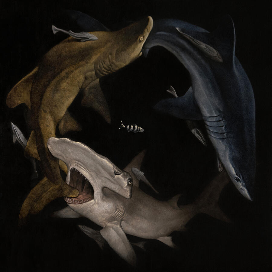 Konstantin Korobov (Russian, 1985) - Sharks (2023)
