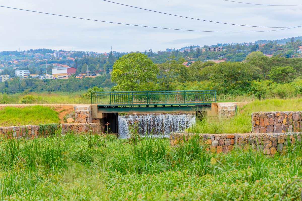 GasoreTheoneste's tweet image. Did you know?🤷
Various wetlands in #KigaliYacu are being rehabilitated to transform them into natural scenic areas while also helping to restore biodiversity and manage water runoff from different parts of our city #VisitRwanda #ConservationInAction @EnvironmentRw @REMA_Rwanda