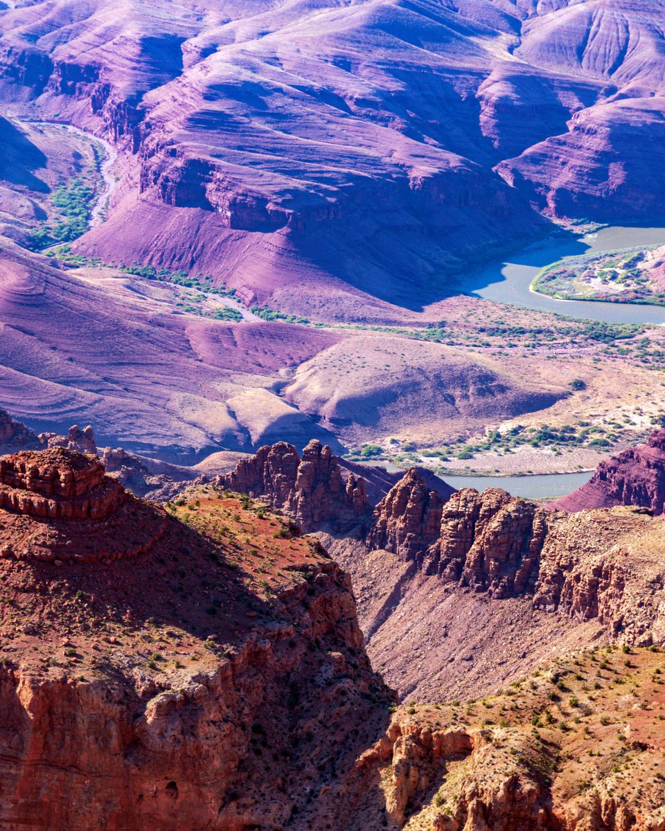 Sedona Philosophy tweet media