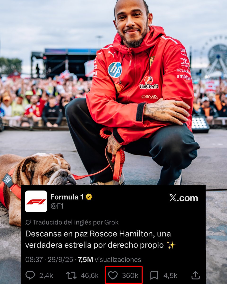 Diario Olé tweet media