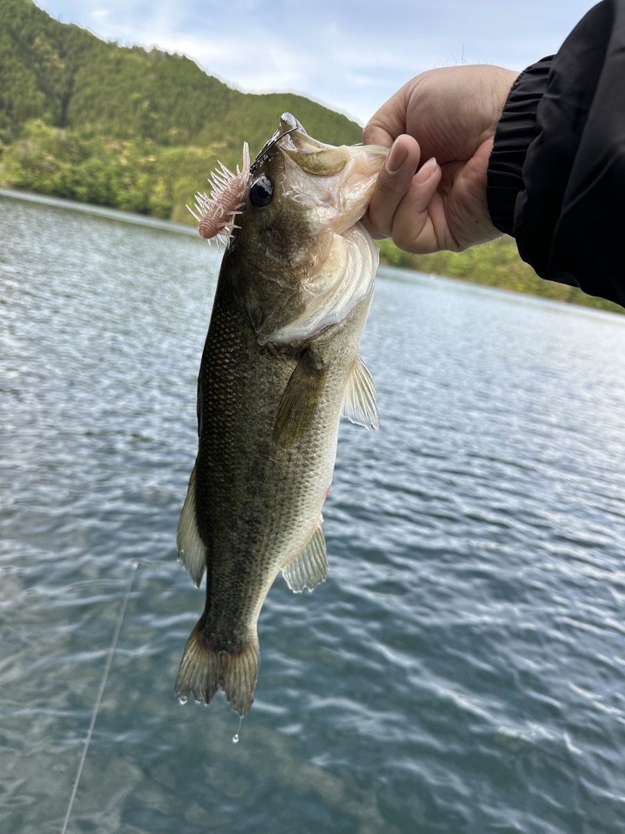 a_tnhs's tweet photo. さめうら遠征2日間でした🎣 https://t.co/gf27XNvQwa