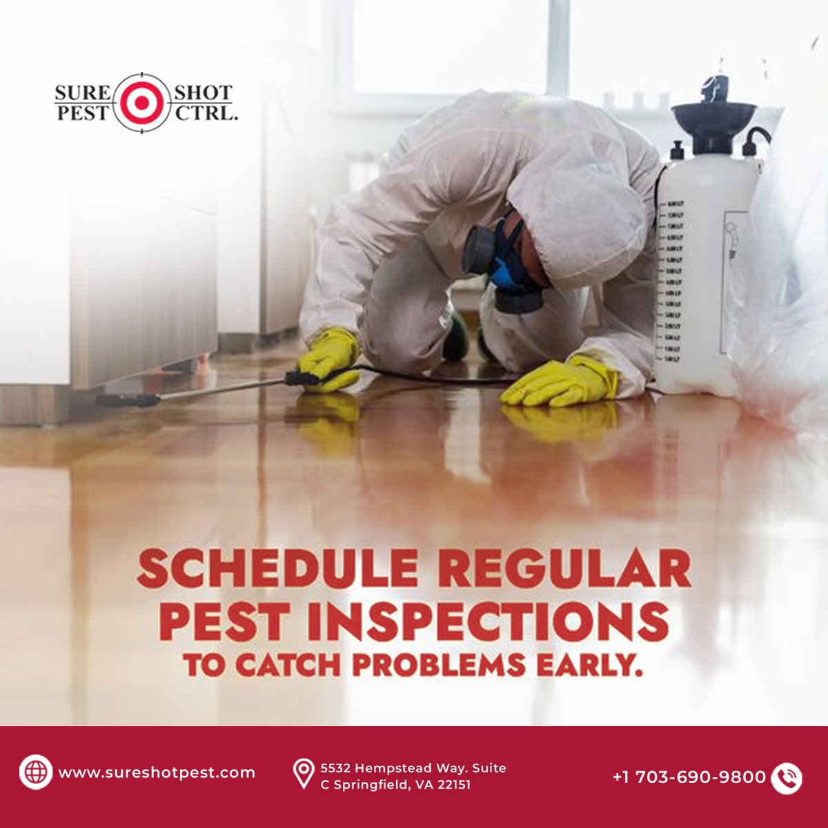 sure_shotpest's tweet photo. Don’t Wait for Pest Damage

Think you might have pests? Don’t wait.
Regular inspections help detect termites, ants, rodents &amp; more before they cause costly damage. Protect your Springfield, VA home today

🌐 https://t.co/UWlRmw1GA8

#PestInspection #TermiteControl #SpringfieldVA https://t.co/aIhprgSP88