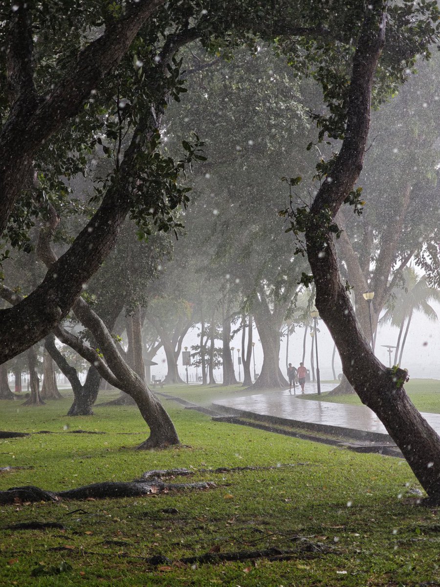SueTalks99's tweet photo. It's raining, run quickly, lol! https://t.co/Of6DLKtfo2