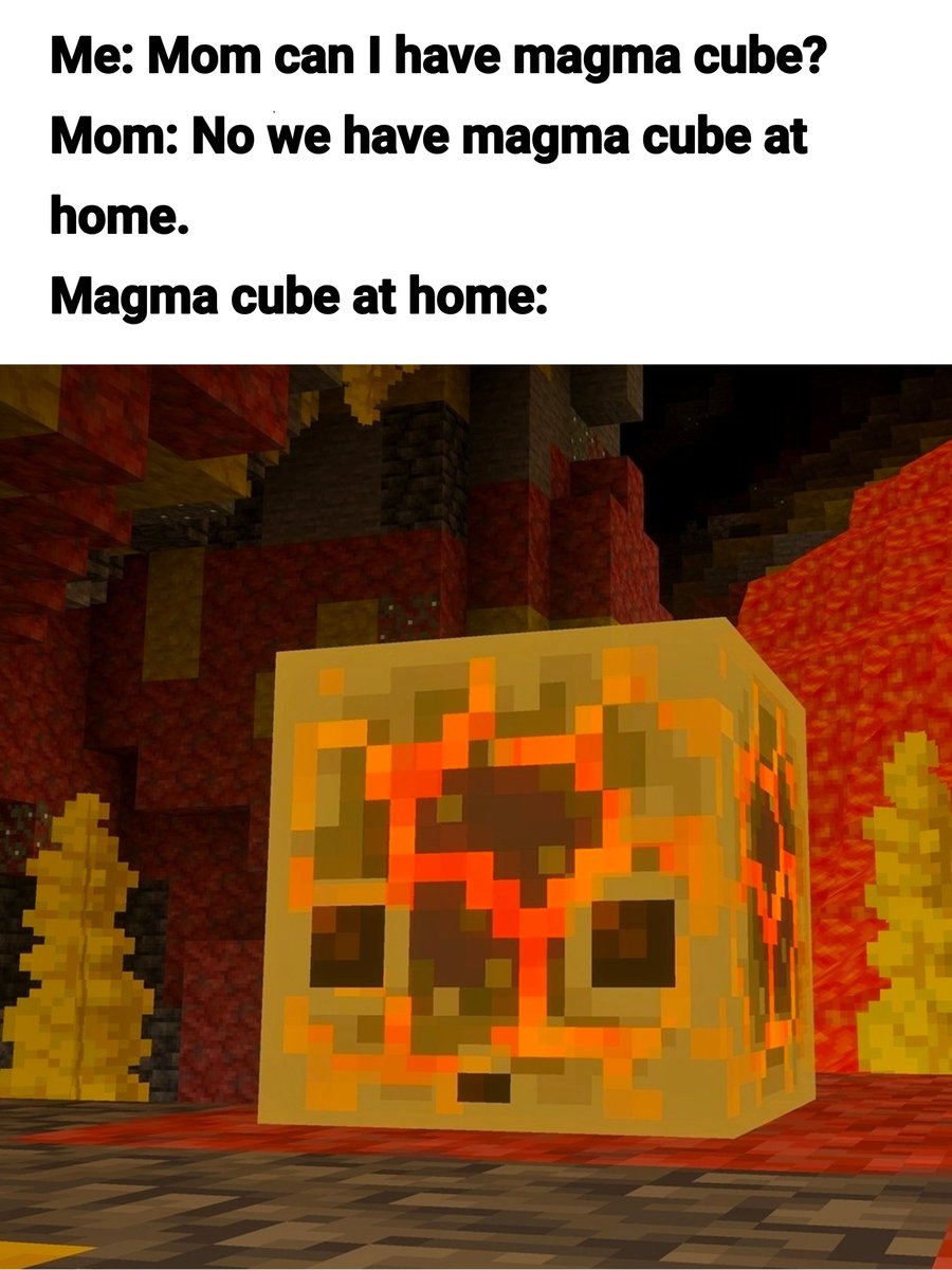 Minecraft Memes ⛏️ tweet media