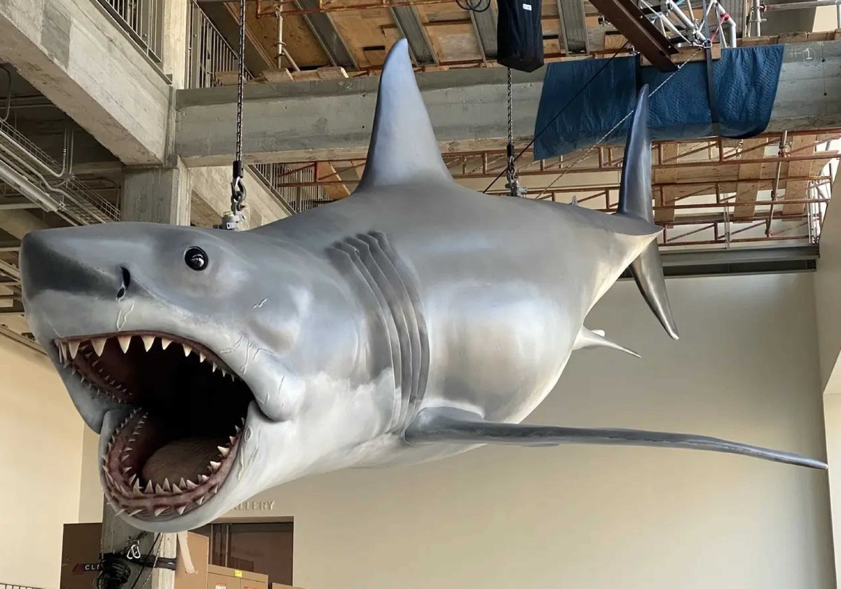 PrintPrototypes's tweet photo. Can you 3D print a 6-foot shark? Well, @formlabs can! 🦈

The Form 4L printer was used to recreate the iconic shark from Jaws for the Academy Museum of Motion Pictures 50th anniversary exhibit.

Read more about it: https://t.co/MD5BeLpAQ0 https://t.co/n1zAEA2CaB