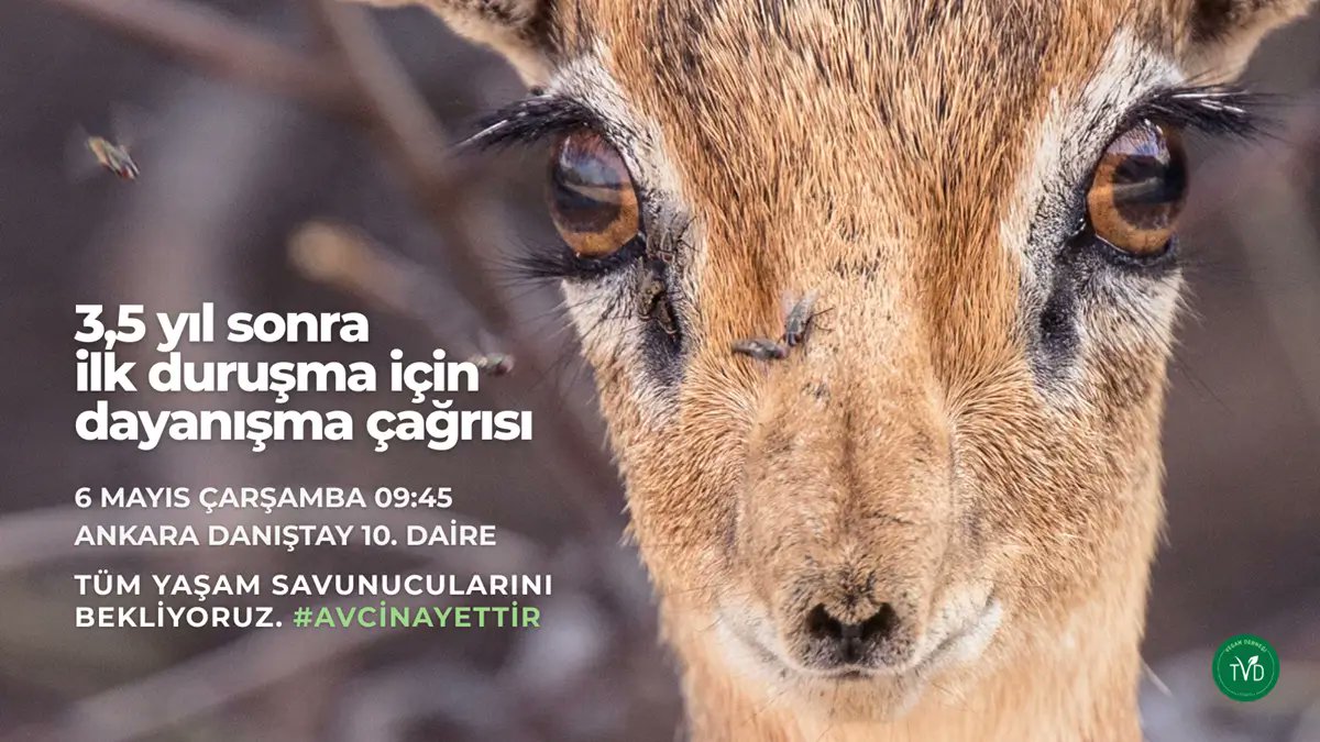 Özgür Gürbüz tweet media